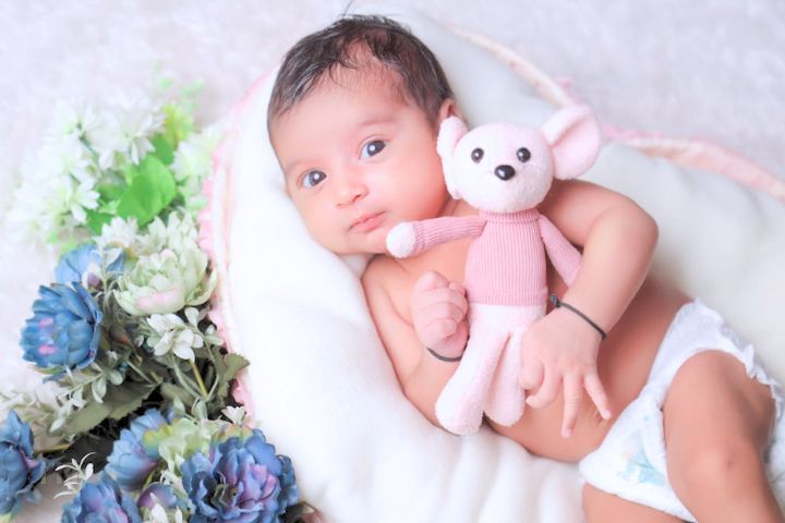 Teddy Bear Names
